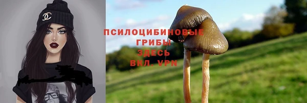 ГАЛЛЮЦИНОГЕННЫЕ ГРИБЫ Пересвет