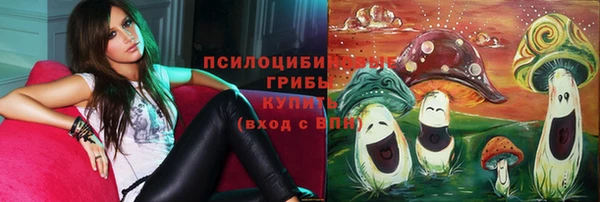 ГАЛЛЮЦИНОГЕННЫЕ ГРИБЫ Пересвет