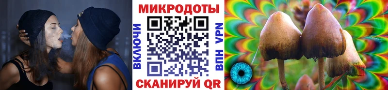 Псилоцибиновые грибы мицелий  Нижняя Тура 